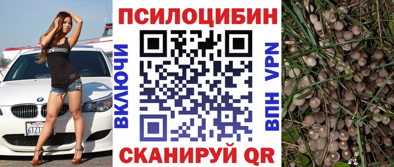 цена наркотик  Воркута  Псилоцибиновые грибы Cubensis 